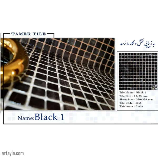 کاشی استخری مشکی